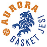 https://img.zgybsfjy.com/img/basketball/team/a77950f390405e3042f9691c09d63251.gif