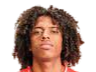 https://img.zgybsfjy.com/img/football/player/135ad8787fd13961a93e165e79e736ff.png