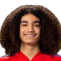 https://img.zgybsfjy.com/img/football/player/87359ed9061cfd73513d827263deebcd.png