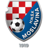 https://img.zgybsfjy.com/img/football/team/14e131a042514a4196f8a471e175e8c4.png