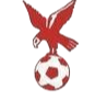 https://img.zgybsfjy.com/img/football/team/4802d26df935b78bb2fcdbbff36e8864.png