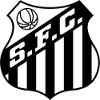 https://img.zgybsfjy.com/img/football/team/674171a5ca8e8fd3a9784bec35afb185.png