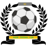 https://img.zgybsfjy.com/img/football/team/6dc6d59af2f0962597b412473a6708ee.png