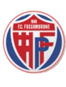 https://img.zgybsfjy.com/img/football/team/716538f8ce647982665ad98c59e7f663.png